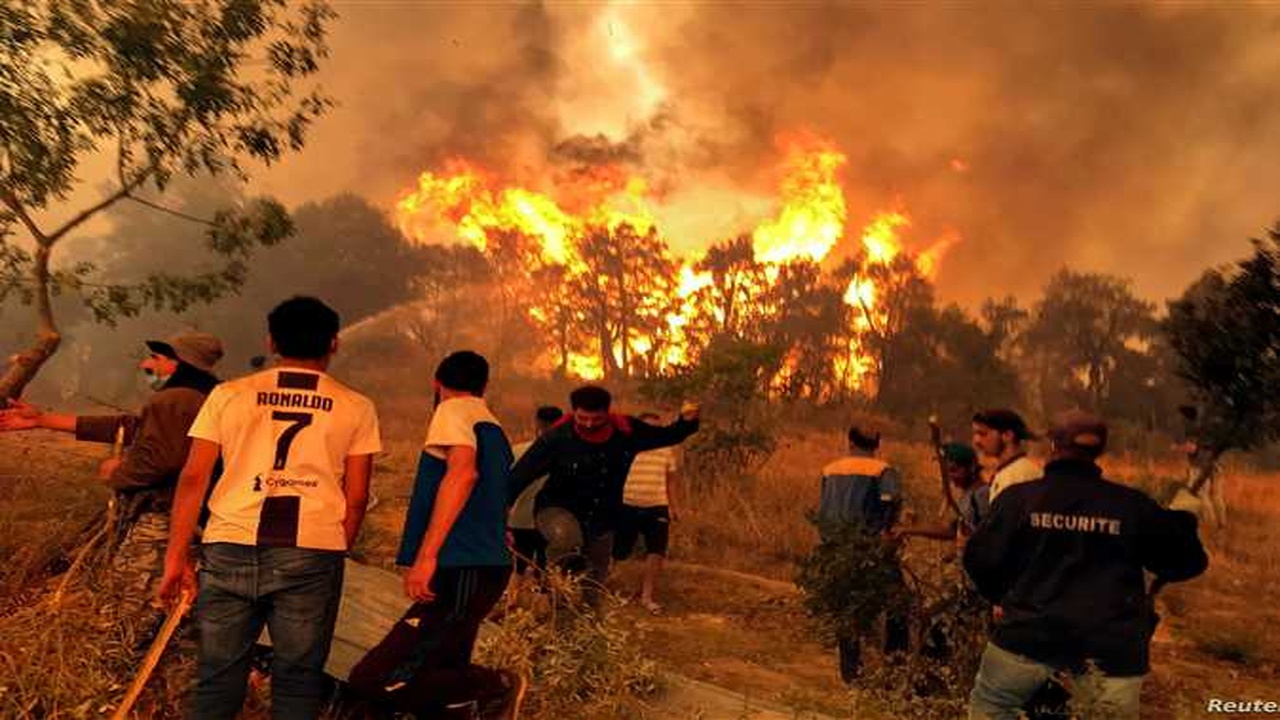 اسباب حرائق الغابات في جزيرة رودس باليونان
